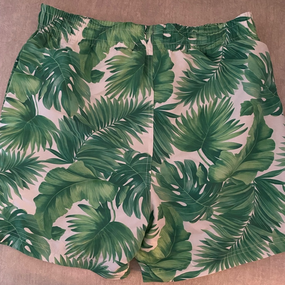 Mens swim Suit trunks